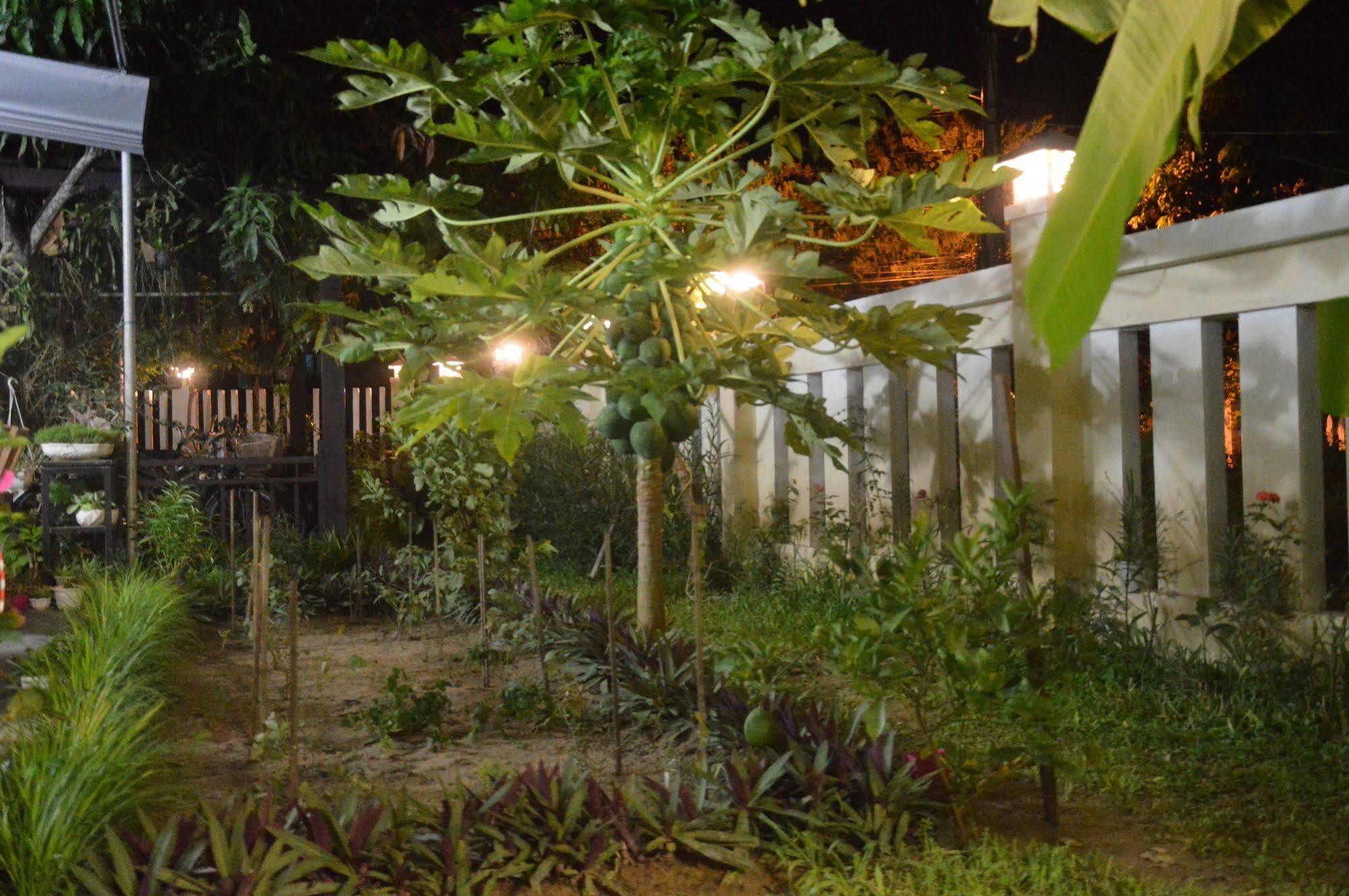 Hoian Joy Homestay Hoi An Zewnętrze zdjęcie